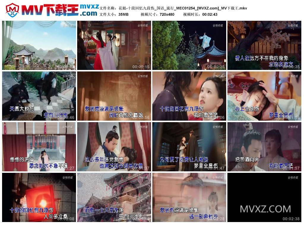 花姐-十段回忆九段伤_国语_流行_MEC01254